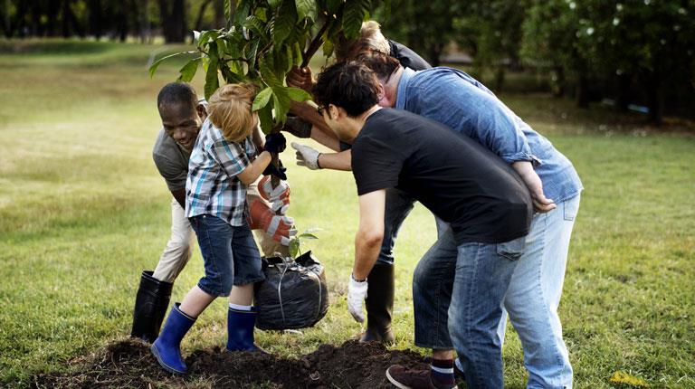 Group of kids planting tree